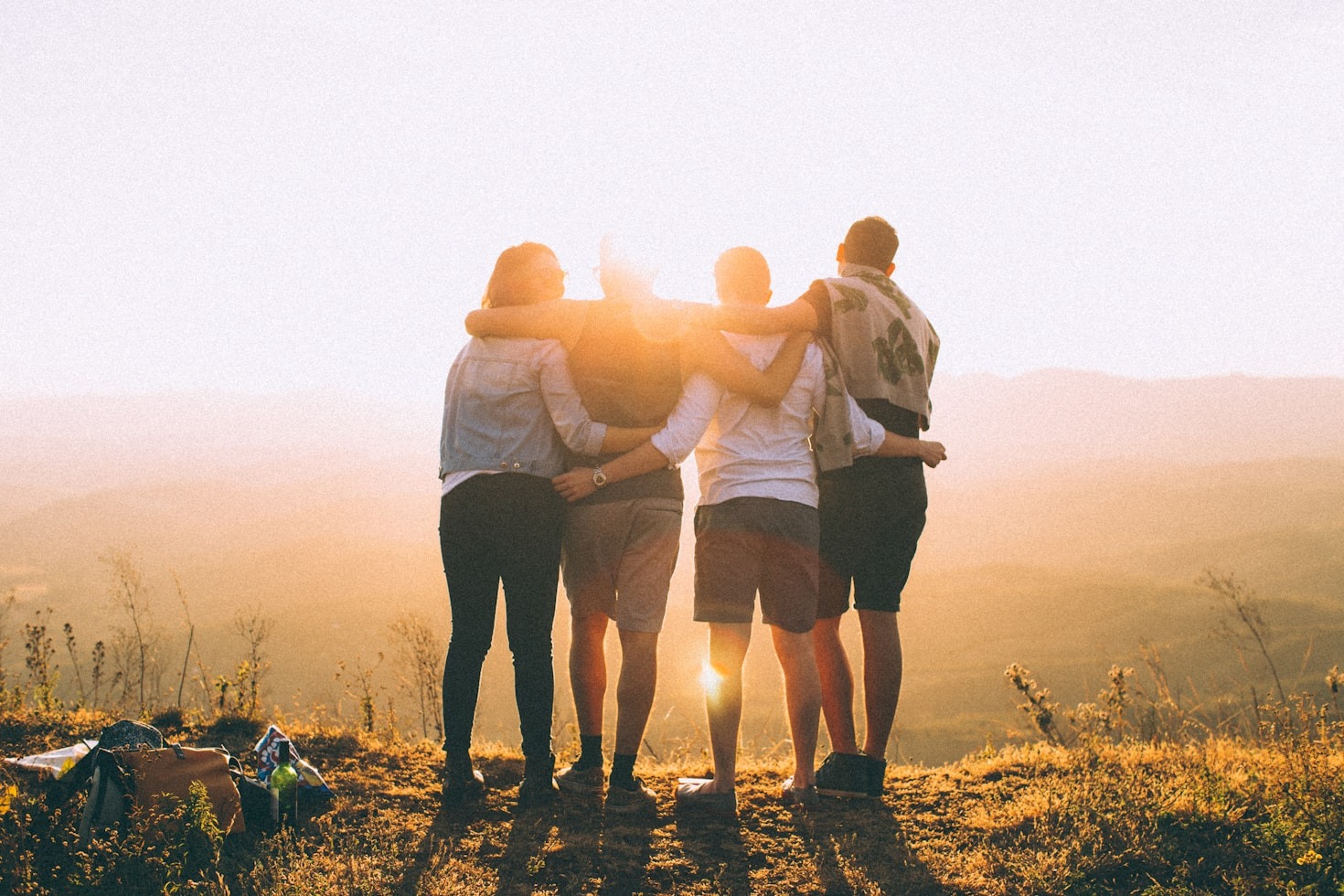 How IDEALs Bridges Gaps in Learning